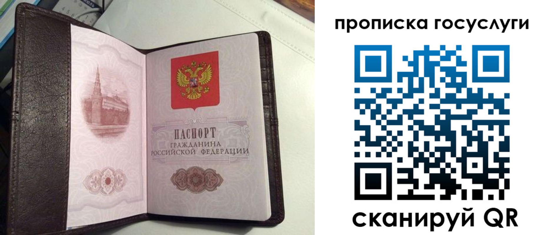 временная прописка в Белореченске